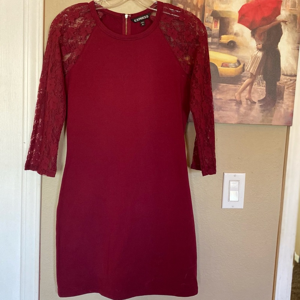Express Maroon Dress